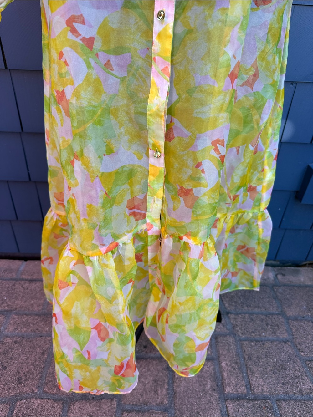 C Wonder 2X Christian Soriano Yellow & Pastel Floral Button-Front Dress sheer - Picture 5 of 12